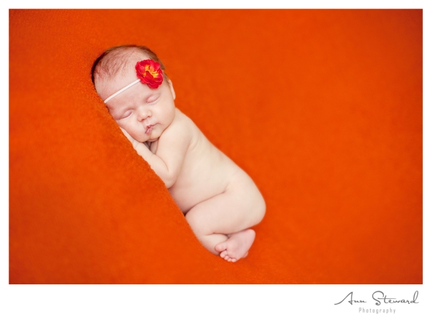 Iowa newborn photographer